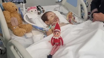 المتحور الجديد من الإنفلونزا يسبب تلف الدماغ لدى طفل وإصابة خطيرة لـ 3 فئات معرضة للخطر 1